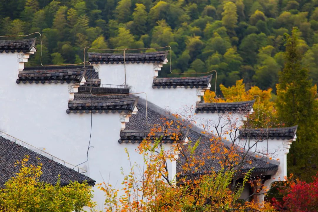 The Most Treasured Hot Spring Town in Jiangsu, Zhejiang, and Shanghai: Perfect for a Weekend Getaway!