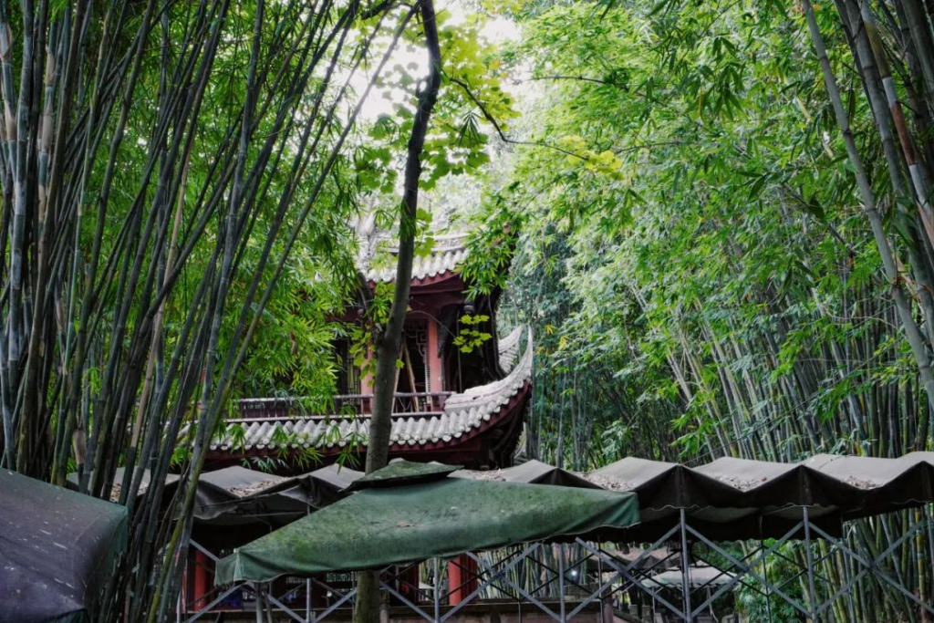 In Chengdu, not having soaked in an old teahouse doesn’t count.