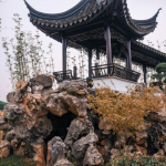 Yangcheng Lake Hairy Crabs